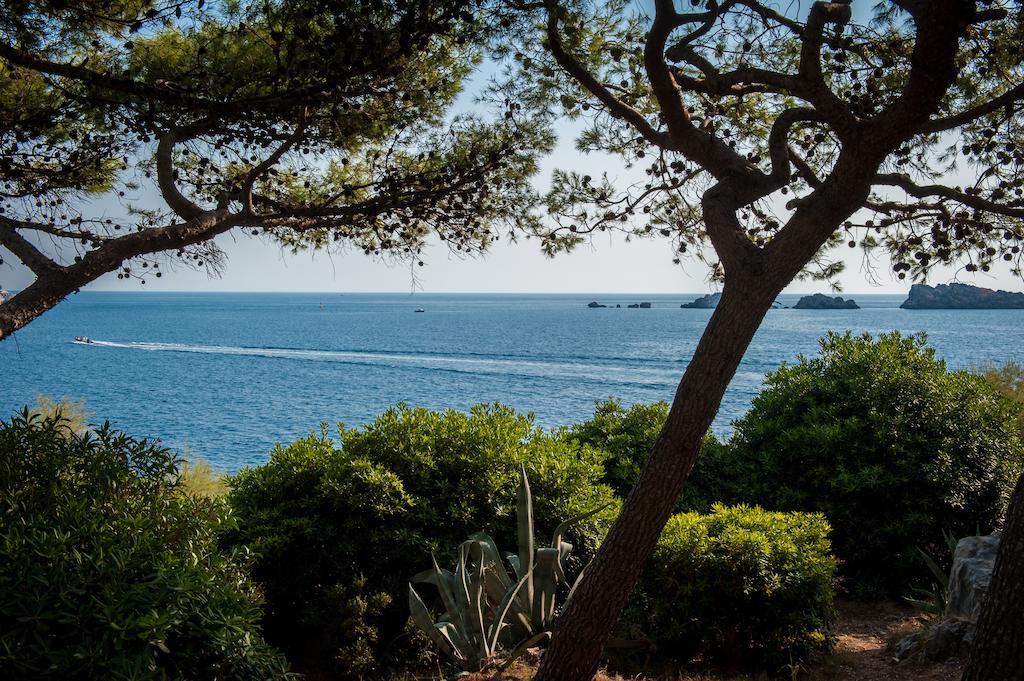 Royal Ariston Hotel Dubrovnik Bagian luar foto View of the sea from the park