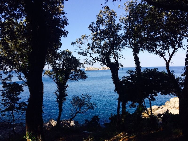 Royal Ariston Hotel Dubrovnik Bagian luar foto View of the Gulf of Saint-Tropez